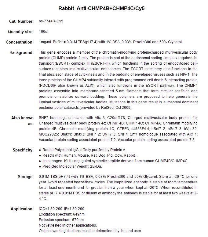 Rabbit Anti-CHMP4B+CHMP4C/Cy5 Conjugated antibody