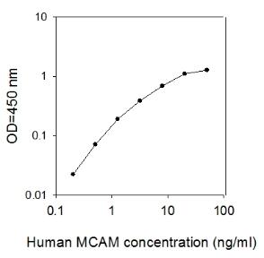 Human MCAM/CD146 ELISA
