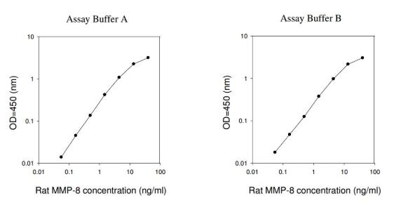 Rat MMP-8 ELISA