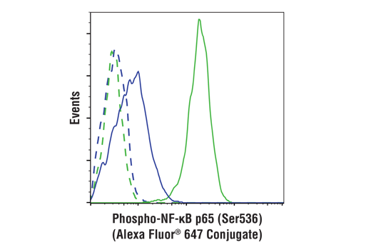 Phospho-NF-κB p65 (Ser536) (93H1) Rabbit mAb (Alexa Fluor 647 Conjugate)