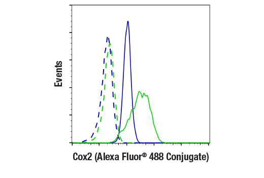 Cox2 (D5H5) XP Rabbit mAb (Alexa Fluor 488 Conjugate)