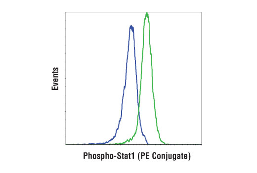 Phospho-Stat1 (Tyr701) (D4A7) Rabbit mAb (PE Conjugate)