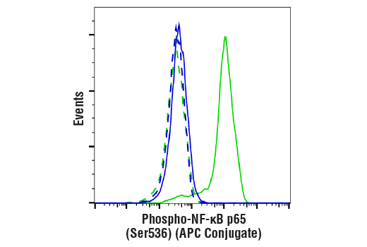Phospho-NF-kappaB p65 (Ser536) (93H1) Rabbit mAb (APC Conjugate)