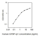 Human IGFBP-rp1/IGFBP-7 ELISA