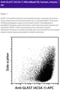 Anti-GLAST (ACSA-1)-MB, mouse, rat
