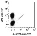 Anti-TCR-Vd1-FITC, human, REA173, 100 t